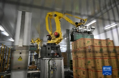 “舌尖上”的智能制造 探訪(fǎng)全球首家調(diào)味品“燈塔工廠(chǎng)”的包裝機(jī)械革命